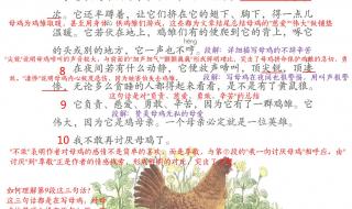 四年级下册新闻摘抄