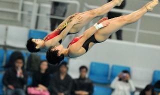 10米跳台女子决赛直播