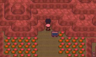 口袋妖怪究极绿宝石4