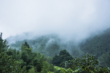 十大全球最性感男人 英国年度最性感男人